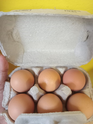 Eggs