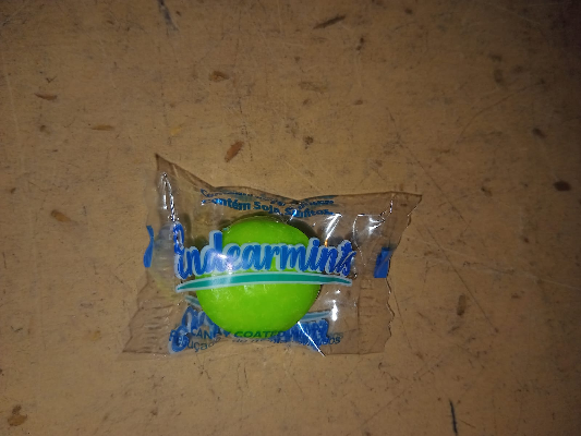 Endarmints