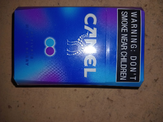Camel